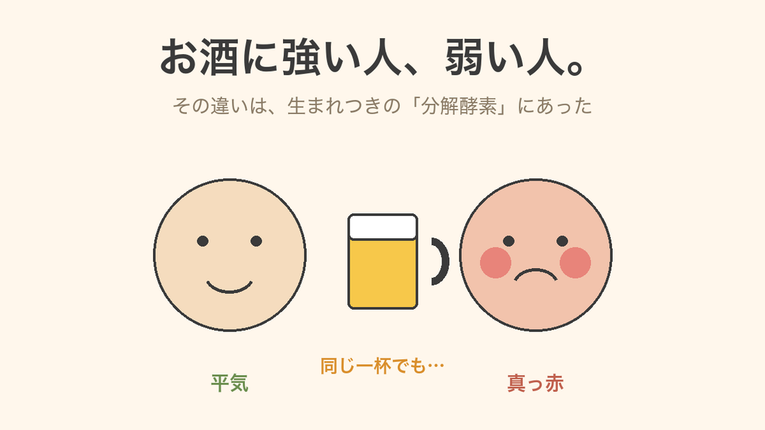 お酒に強い人、弱い人。違いは生まれつきの分解酵素