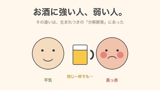 お酒に強い人、弱い人。違いは生まれつきの分解酵素